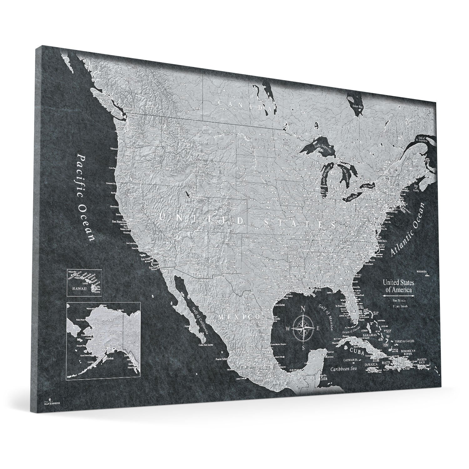 The Night Voyager USA Push Pin Travel Map