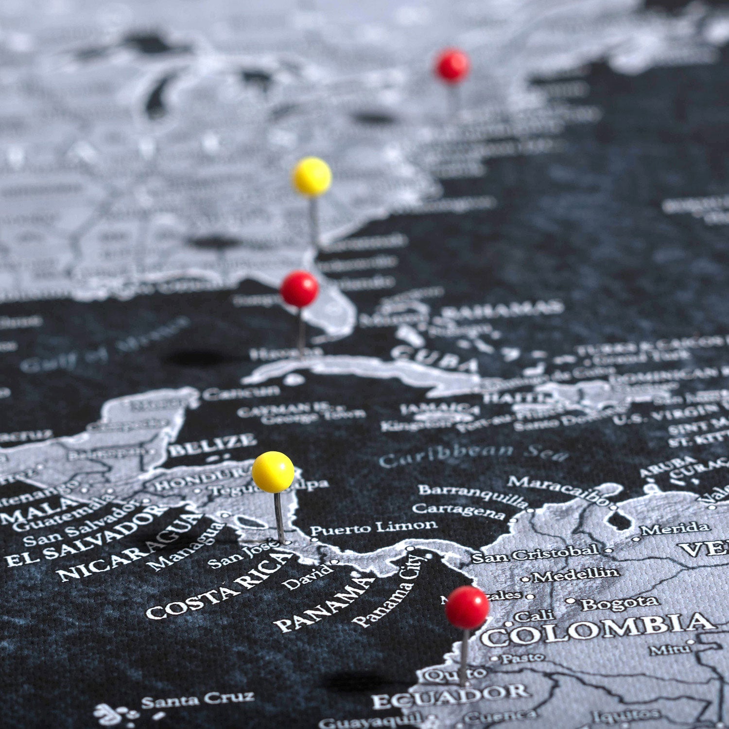 The Night Voyager World Push Pin Travel Map