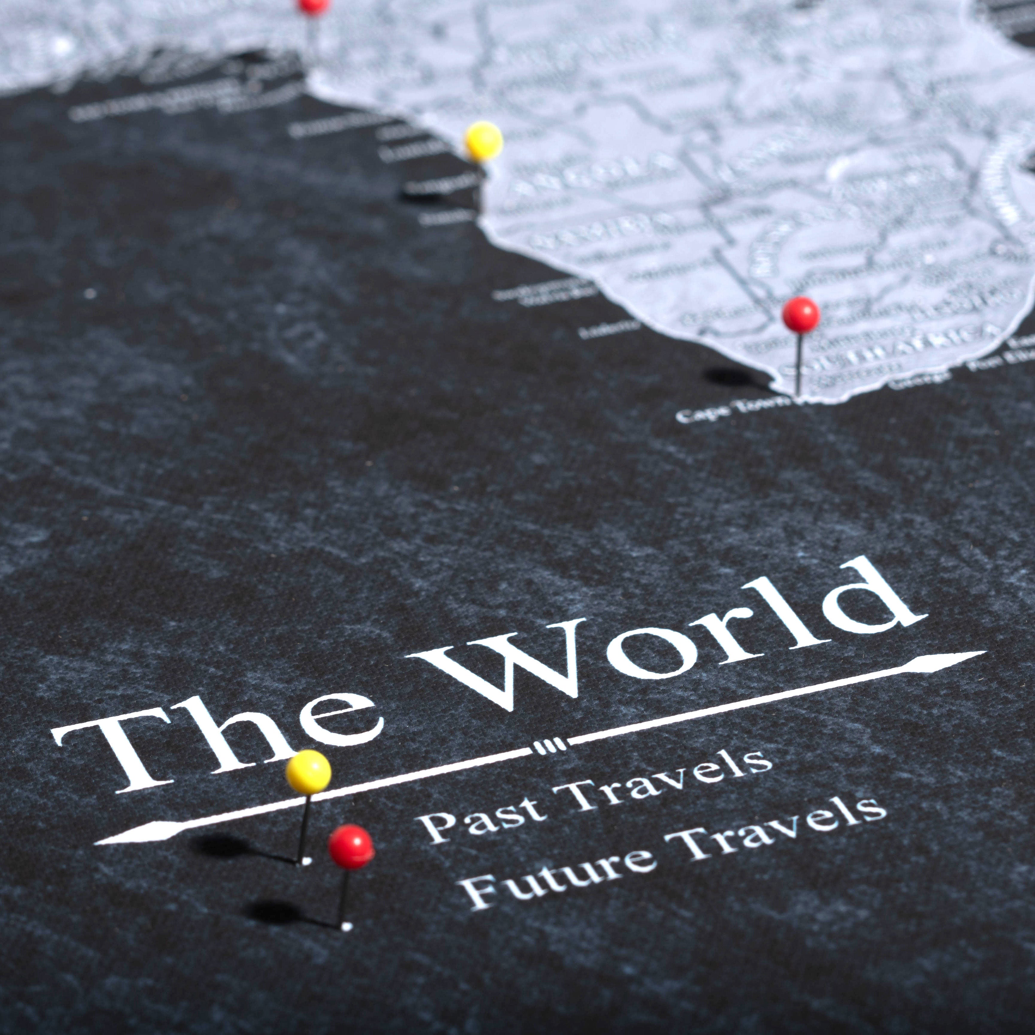 The Night Voyager World Push Pin Travel Map